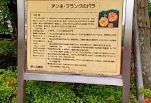 Sengawa Park景点图片