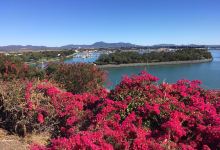 Auckland Hill景点图片