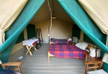 Greenwood Safari Camp景点图片