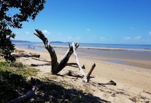 Wonga Beach Park景点图片