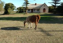 St. Catherine's Hall景点图片