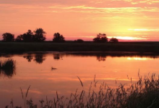 Miller Waterfowl Production Area景点图片
