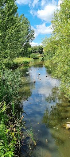 Hemlington Lake-米德尔斯堡