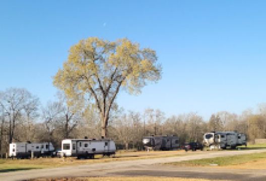 Frankston RV Resort景点图片