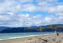 Seatoun Park景点图片
