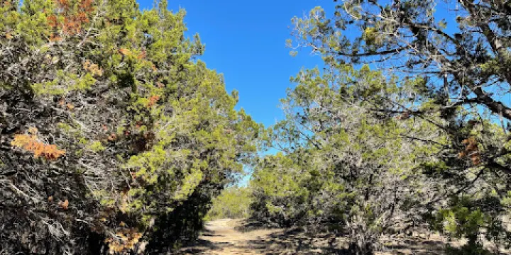 Kerrville-Schreiner Park