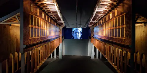 Museo Federico II Stupor Mundi