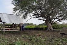 Hostal La Perla de los Rios景点图片