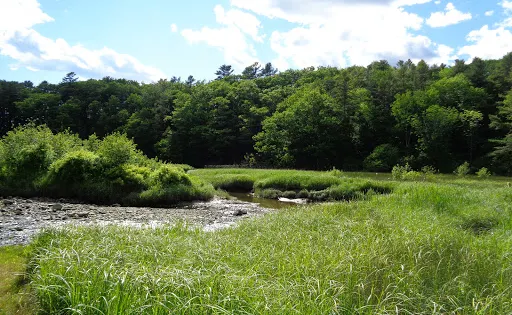 Mast Landing Sanctuary