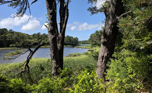 Mashpee River Reservation