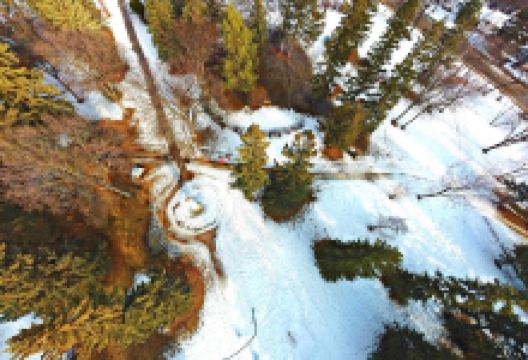 Victoria Park景点图片