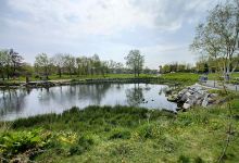 Carrigaline Duck Pond景点图片