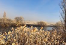 Snowy River Holiday Park景点图片
