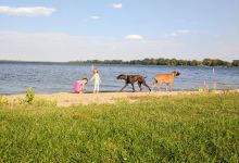 Norwegian Creek County Park景点图片
