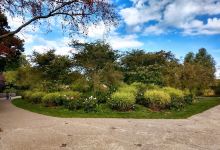 Loos Public Garden景点图片