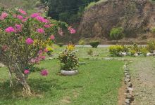 Flower garden景点图片