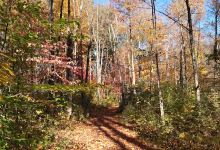 Englewood MetroPark West Park景点图片