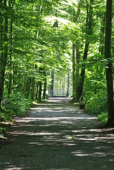 Neckarinsel-蒂宾根