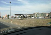 Talip Apaydın Çamlığı景点图片