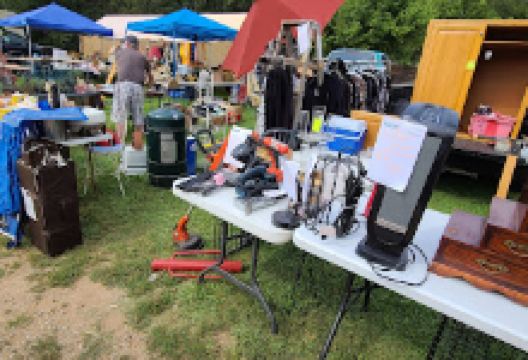 Dog Days Flea Market购物图片