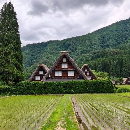 日本东京+大阪+小松+金泽+白川乡+富士山+立山黑部阿尔卑斯山脉8日7晚跟团游