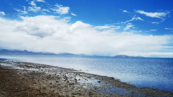 馬泥佯塘