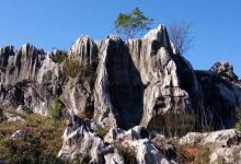 乐平文山怪石林景点图片