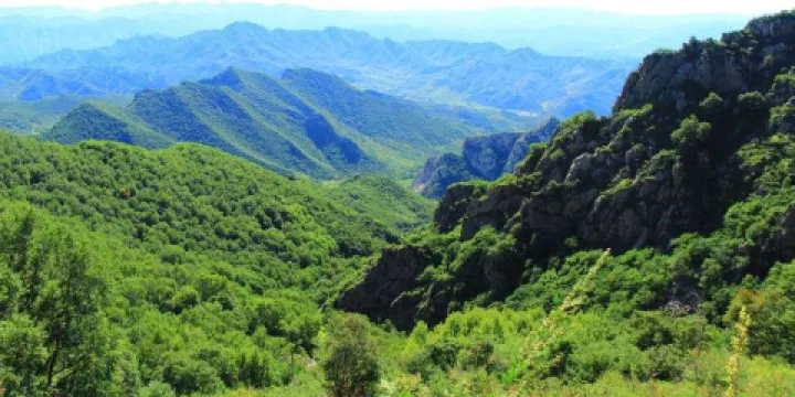 雲霧山森林公園