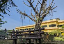 Botanical Park, Mechi Multiple Campus景点图片