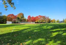Skate Park at York Commons景点图片