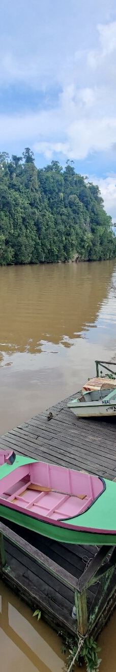 京那巴当岸河-基纳巴唐岸