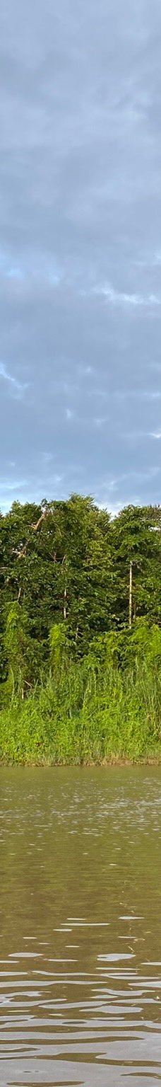 京那巴当岸河-基纳巴唐岸