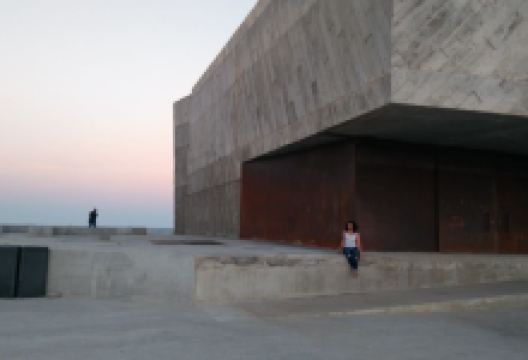 Distrito Boca景点图片