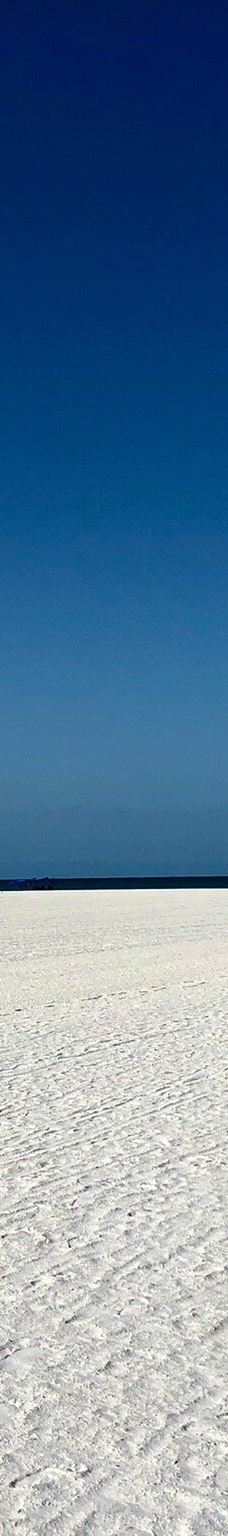 Tigertail Beach-马可岛