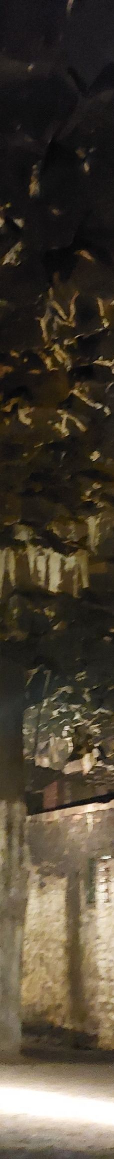 German Volcano Museum lava dome-门迪希