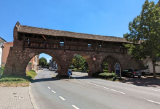 Nibelungenmuseum景点图片