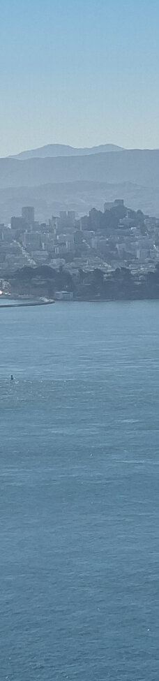 安琪儿岛-蒂伯龙