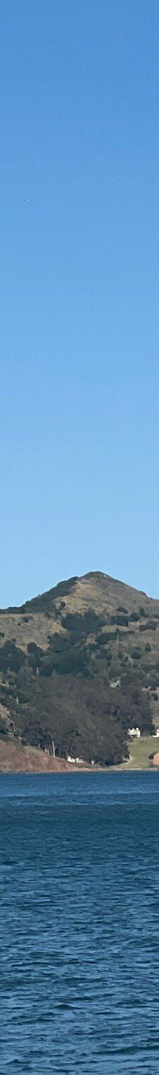 安琪儿岛-蒂伯龙