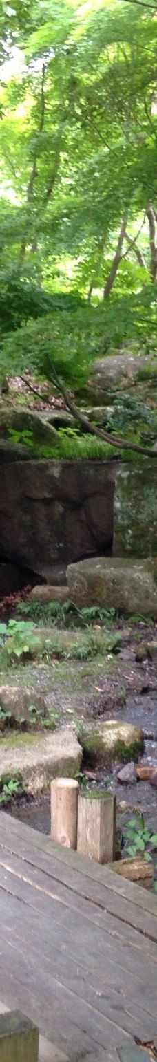 清水船越堤公園-静冈