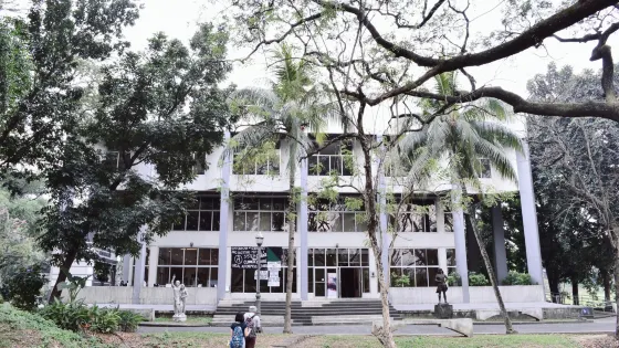 The Vargas Museum