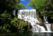 Belenus Theme Forest景点图片