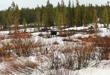 Arapaho National Wildlife Refuge景点图片
