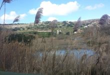 Simar Nature Reserve景点图片