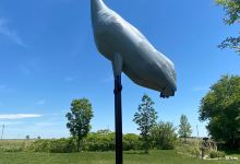 World's Largest Sandhill Crane景点图片