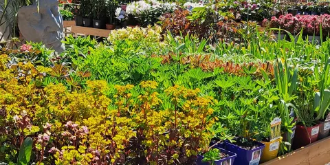 國家園藝展覽中心