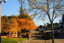 South Canterbury Museum景点图片