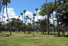 Reed Canal Park景点图片
