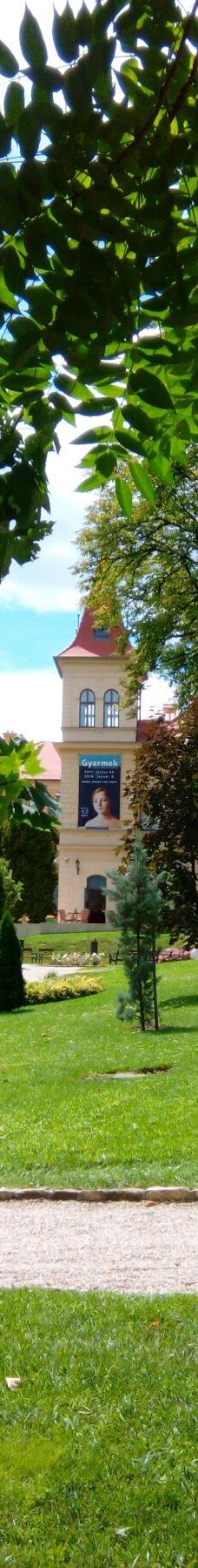 瓦萨里画廊-巴拉顿菲赖德