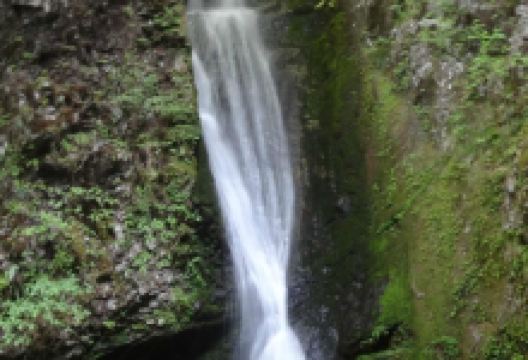 海沢四滝景点图片