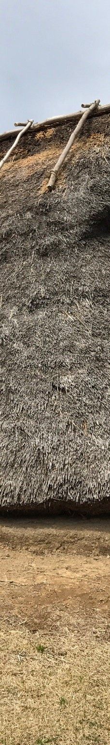 本町田遗迹公园-町田市